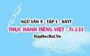 Soạn bài Thực hành tiếng Việt trang 131 lớp 9 tập 1 Kết nối tri thức